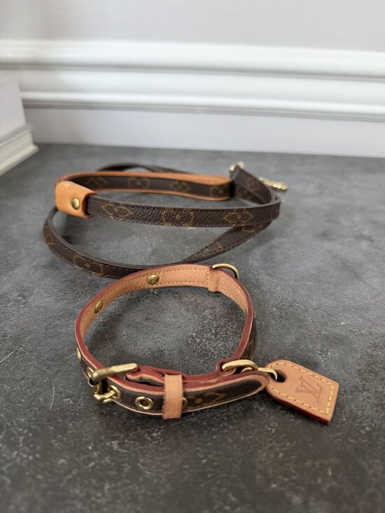 Louis Vuitton Other - LOUIS VUITTON Baxter PM Dog Collar & Leash Small dog